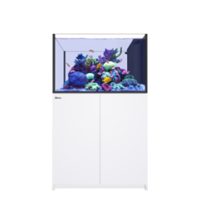 Reefer Peninsula P350 G2+