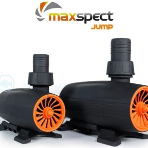 Maxspect Jump DC